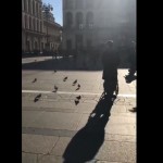 fogninipennetta