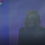 pamela anderson