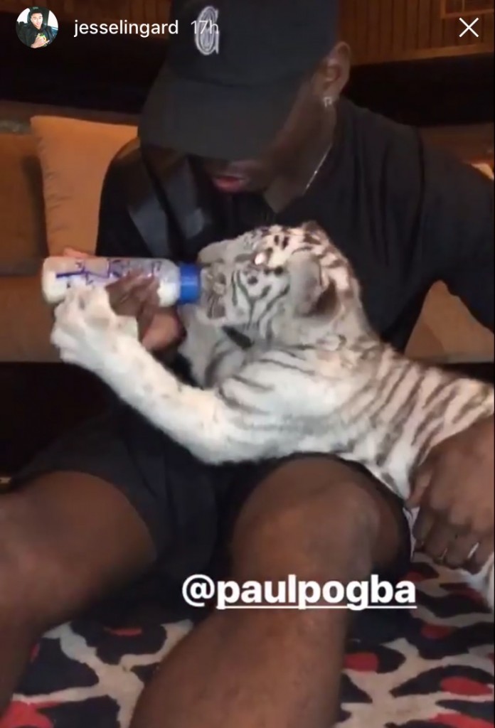 pogba-8017