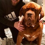 messi cane_2137521712934078_3885968220148831827_n