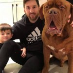 messi cane_2137521819600734_8003487584062870904_n