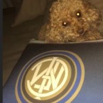 cane