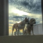 kyra e luna felipe melo milano