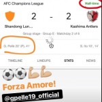 pelle