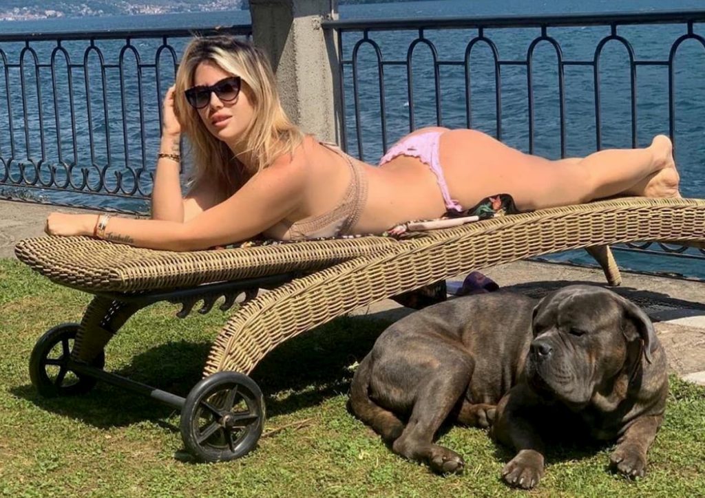 wanda-domenica-perfetta