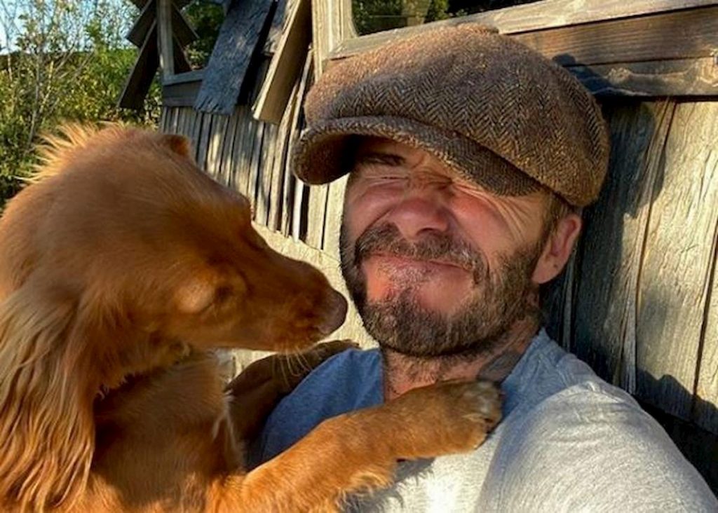 beckham-giornata-cane-1