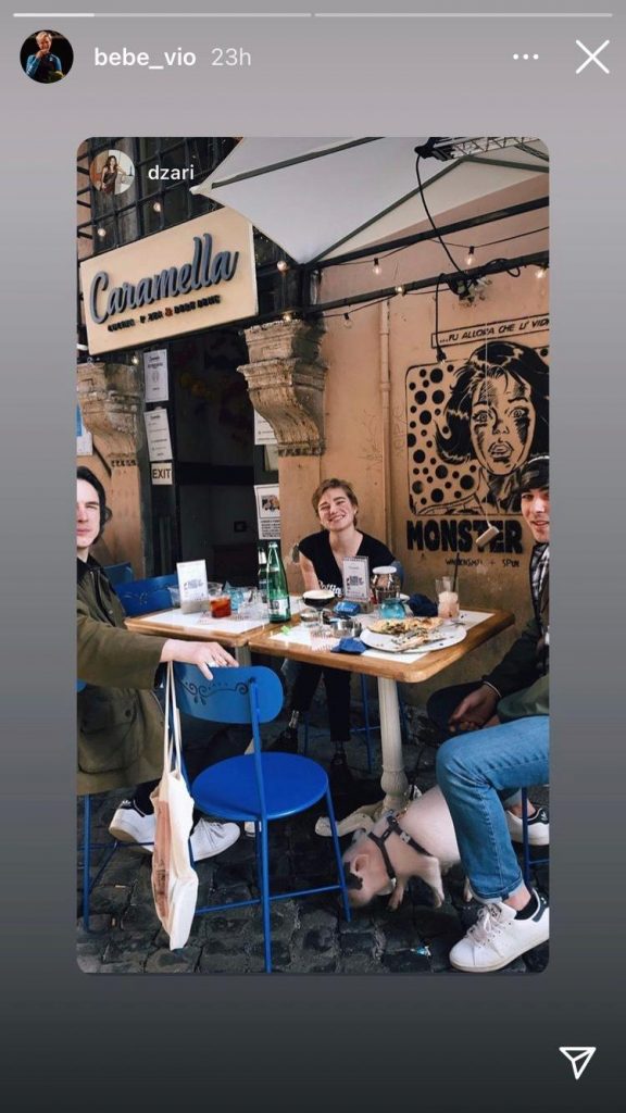 bebe-vio-maialino