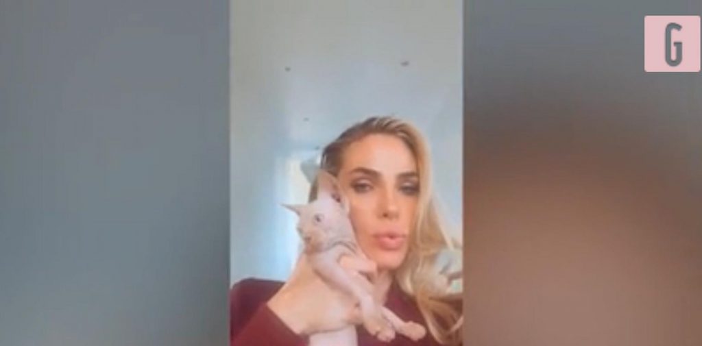 blasi nuovo gatto
