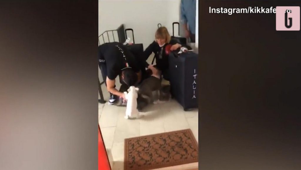 pellegrini accoglienza cani