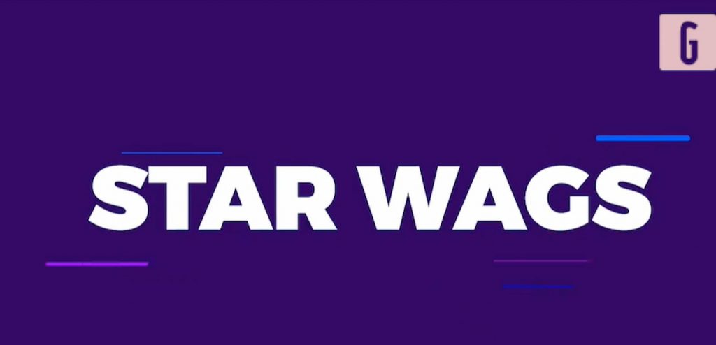video star wags