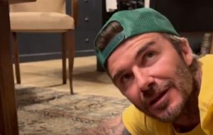 beckham arrivo coniglio