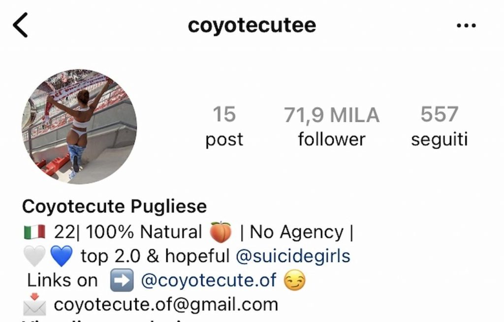 coyote-cutee-bari (1)