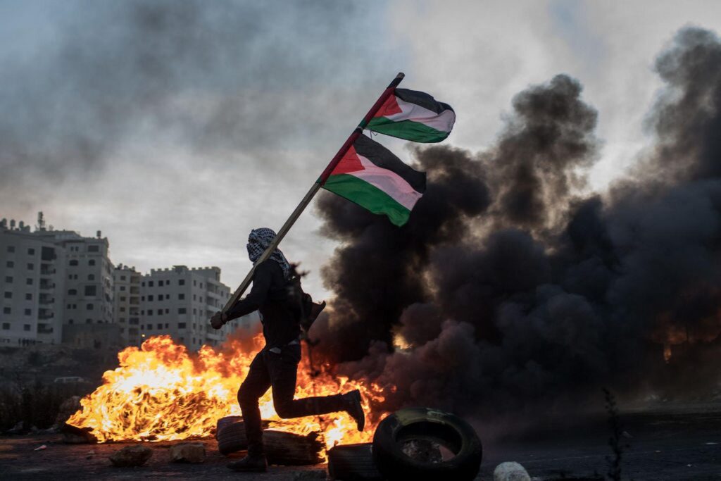 palestina (2)
