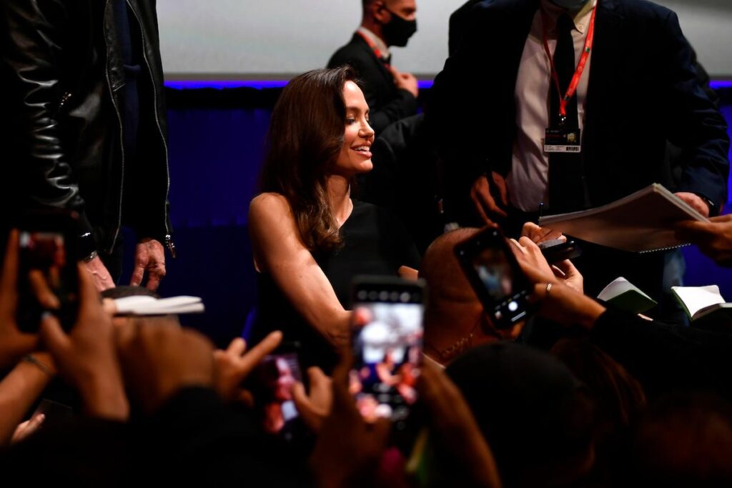 angelina-somiglianza (1)