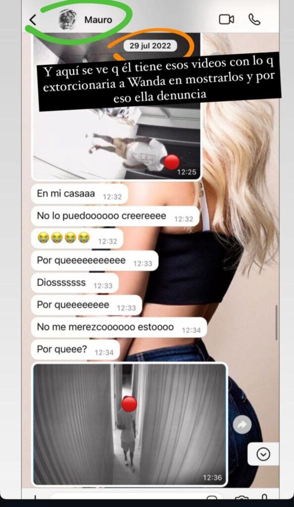 chats-de-wanda-y-mauro-1937682 (1)