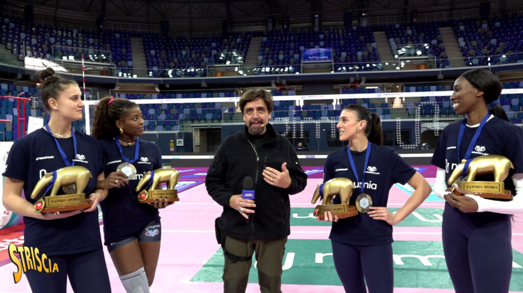 Tapiro_volley