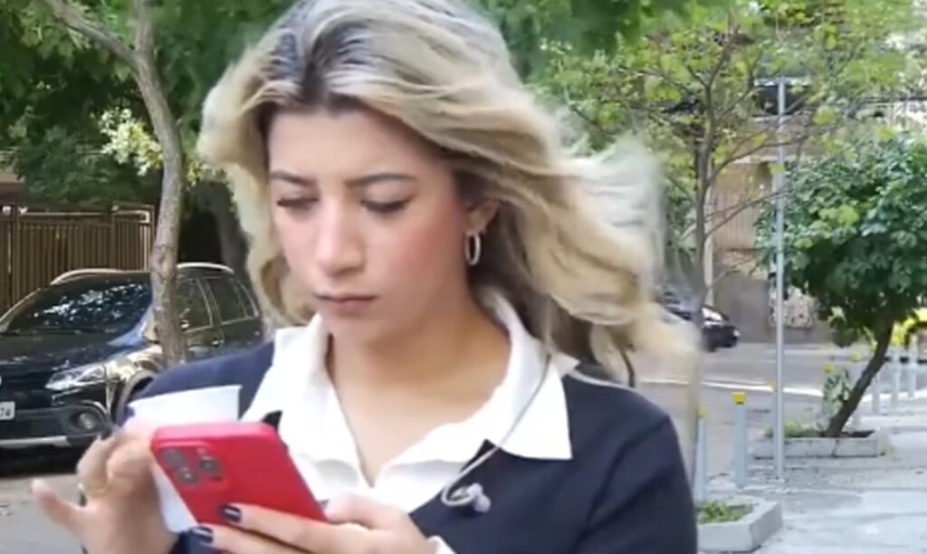 giornalista