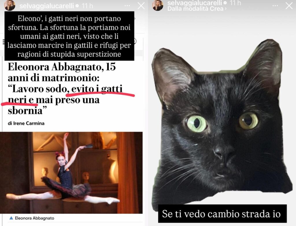 gatti-neri