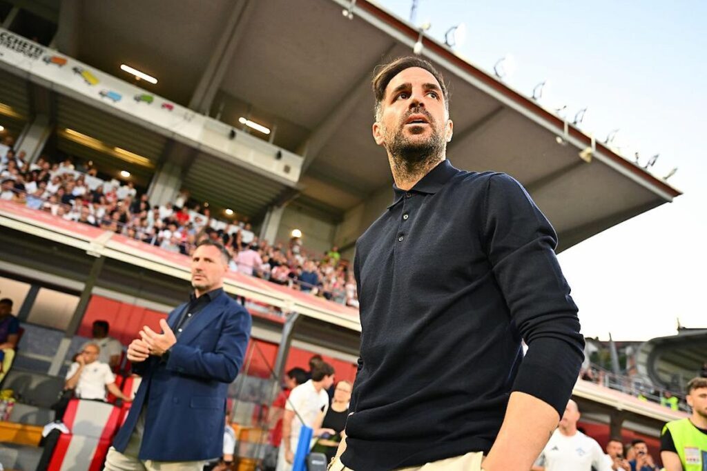 fabregas (3)